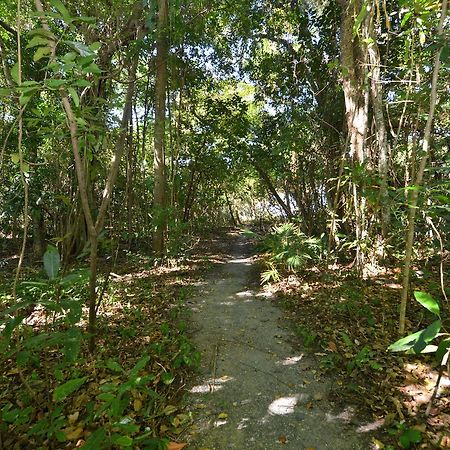 Villa Frangipani Port Douglas Exteriör bild