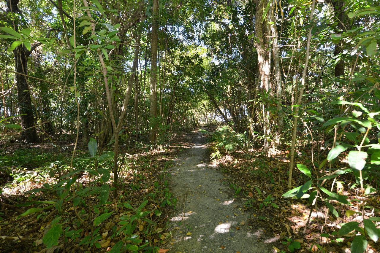 Villa Frangipani Port Douglas Exteriör bild
